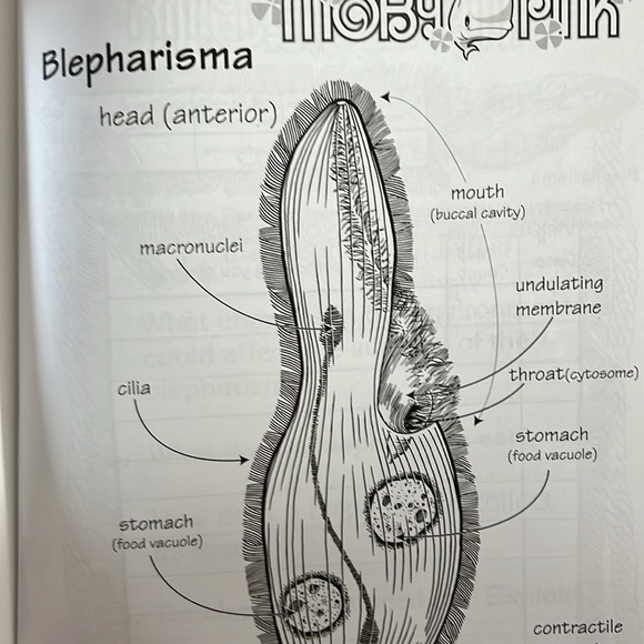 Magnificent Microworld Adventures: Microscopic Topics by AIMS - Picture 7 of 9